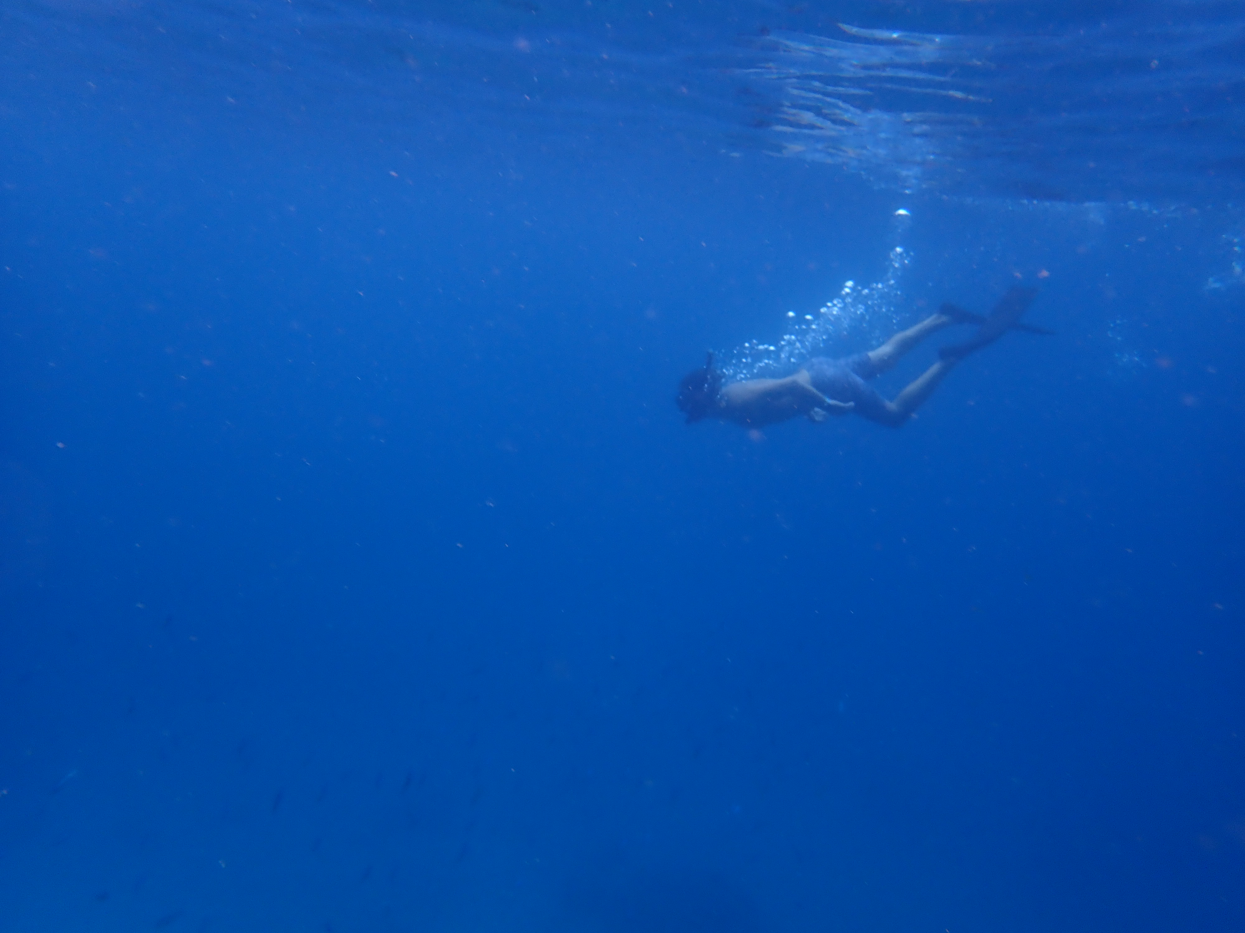 Snorkeling at Hanamoenoa
